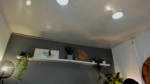  Alice  online show from February 20, 8:03 pm