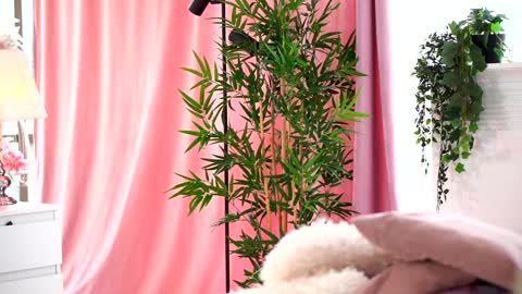 Arielle online show from February 5, 10:41 am