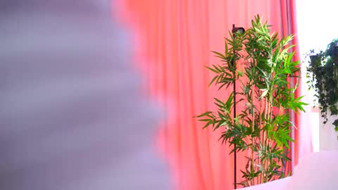 Arielle online show from October 10, 9:03 am