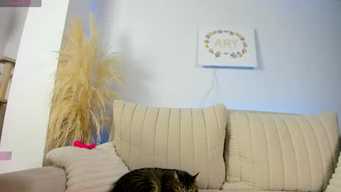 Ary online show from April 24, 12:57 am