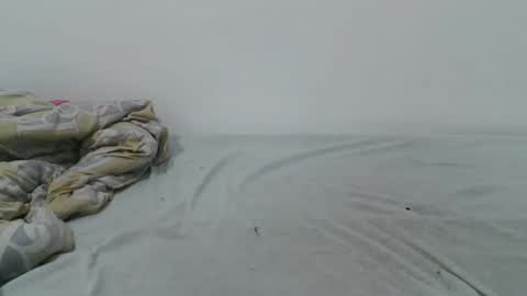 Talia online show from December 9, 6:35 pm