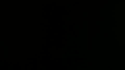 sara online show from November 9, 6:42 am