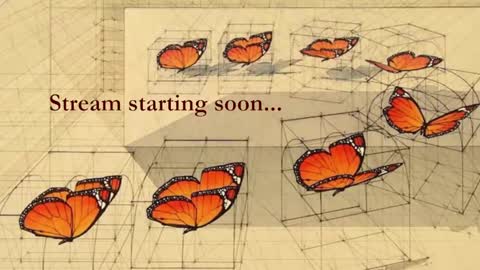 Adalina Rae online show from January 7, 11:35 pm