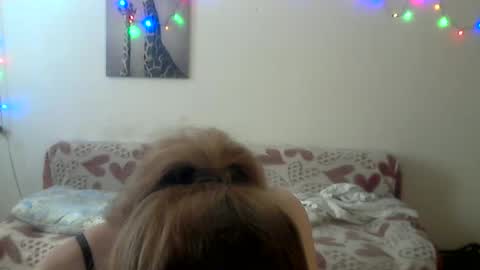 Anna online show from March 12, 8:28 am