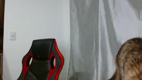 Alex Parker online show from January 7, 2:04 am