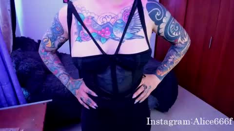Snapshot of alice666f chatting on February 25, 5:08 pm ALiCE ROSE online show from February 25, 5:08 pm
