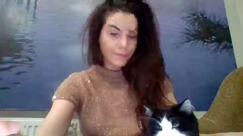 AliceTailorrr online show from February 6, 8:56 pm