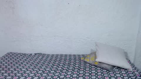 aliss online show from November 29, 12:09 pm