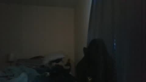 Snapshot of ally12334 chatting on January 23, 12:25 am ally12334 online show from January 23, 12:25 am