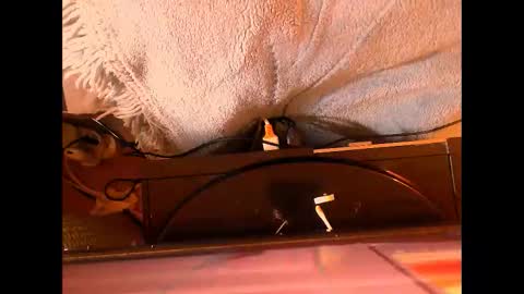 amazingmelons online show from May 30, 5:10 pm