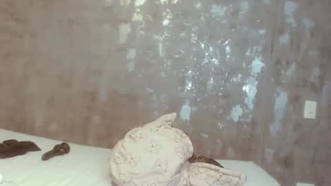 Snapshot of ameli_porter2 chatting on December 28, 3:37 pm ameli online show from December 28, 3:37 pm
