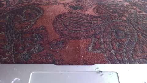 Snapshot of amileamariestar chatting on March 12, 1:51 pm amileamariestar online show from March 12, 1:51 pm