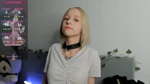 annymeow online show from November 22, 12:24 am