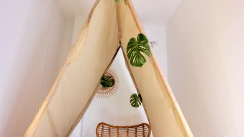 A R I   online show from November 7, 12:00 pm