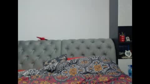 Arya online show from November 4, 2:22 pm