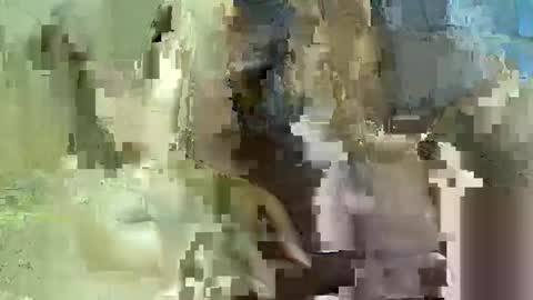 assbaby5 online show from October 1, 2:49 am