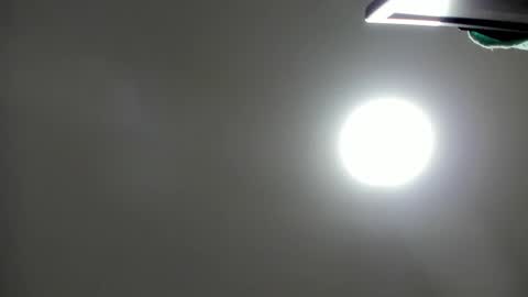 Asshley online show from November 26, 12:28 pm