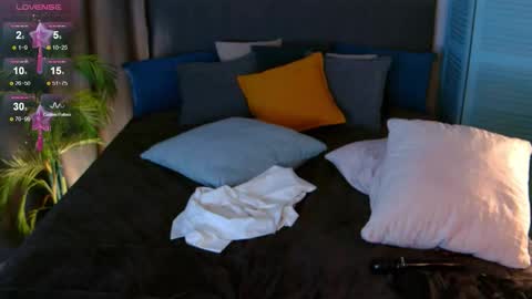 assolmonet online show from November 24, 6:59 am