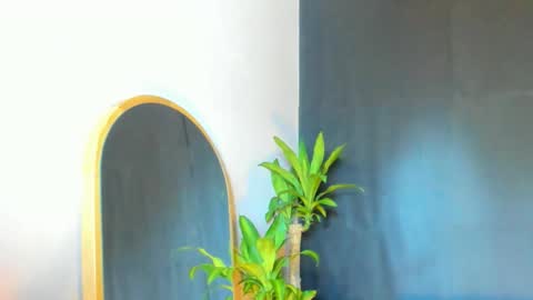 Audry online show from February 22, 8:10 pm