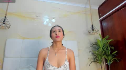 CATA  online show from November 4, 10:20 am