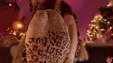 Franki online show from December 14, 10:26 pm