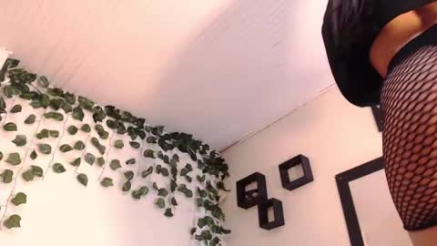 bahianawood online show from December 11, 5:25 pm