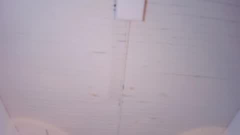 bellaboobs_ online show from November 4, 8:14 pm