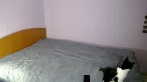 bellaqueen0701 online show from March 6, 5:33 pm