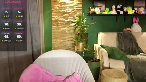 Belle online show from December 20, 3:05 pm