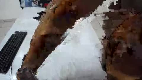 Bigbootyshaz online show from March 12, 12:31 am