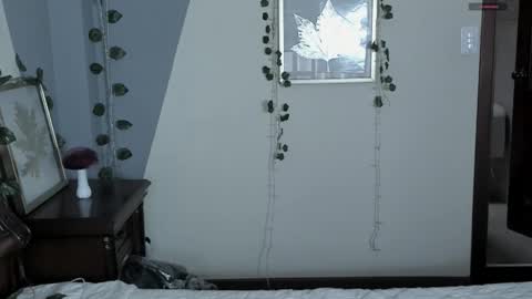 sophie  online show from November 18, 2:51 pm