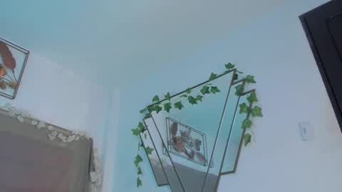   online show from November 28, 11:52 pm