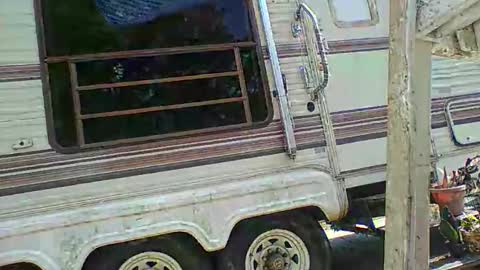 bpdbrittany online show from February 9, 5:33 pm