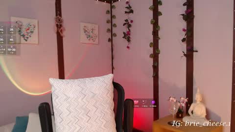 Brie  Ill be away November 2829 and 30. See u on Sunday for more fun online show from April 16, 8:08 pm