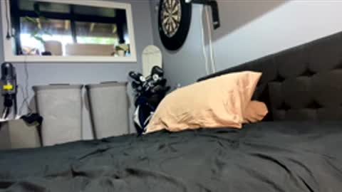 bunny_bop online show from January 15, 8:53 am