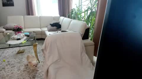 Natascha online show from February 16, 11:32 am