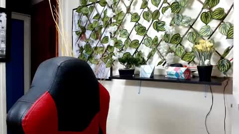 camelia online show from January 28, 11:49 am