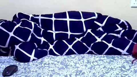 casseymarvel254 online show from April 7, 8:16 am