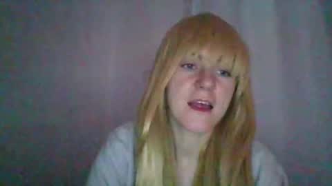 cat_2019 online show from October 29, 10:34 pm