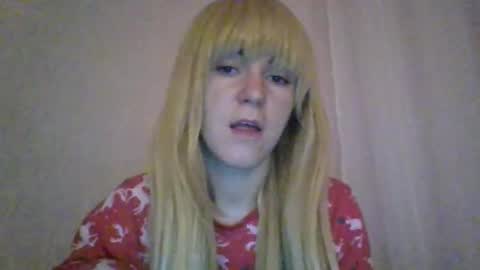 cat_2019 online show from September 19, 11:26 pm