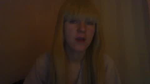 cat_2019 online show from January 20, 12:04 am