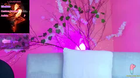 CHARLOTTE online show from November 11, 11:40 am