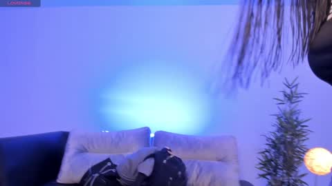 Charlotte  Everyday From 0700 to 1300 Col Time online show from February 4, 11:05 am