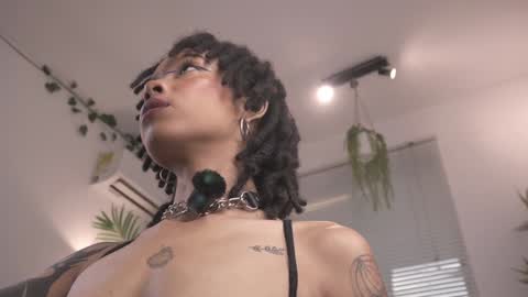 ROSELL 3   online show from November 7, 10:04 pm