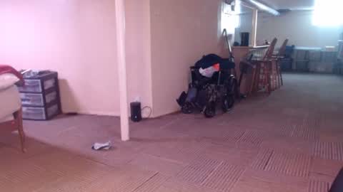 CreamyExotica online show from February 1, 1:54 pm