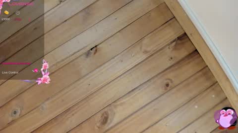 Cristal online show from January 16, 4:08 am