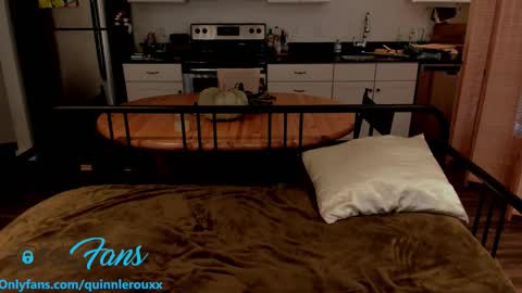 Quinn online show from November 13, 7:35 pm