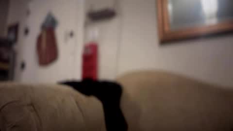 Lets chat buy me a fucking machine online show from October 2, 2:49 am