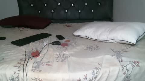 Shiiro online show from November 23, 7:32 am