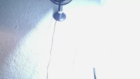 DANI online show from April 10, 6:30 am